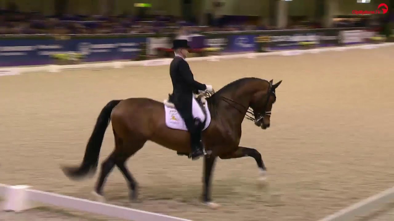 Hubertus Schmidt | Escolar | Finale Nürnberger Burg-Pokal | Festhallen Reitturnier 2017