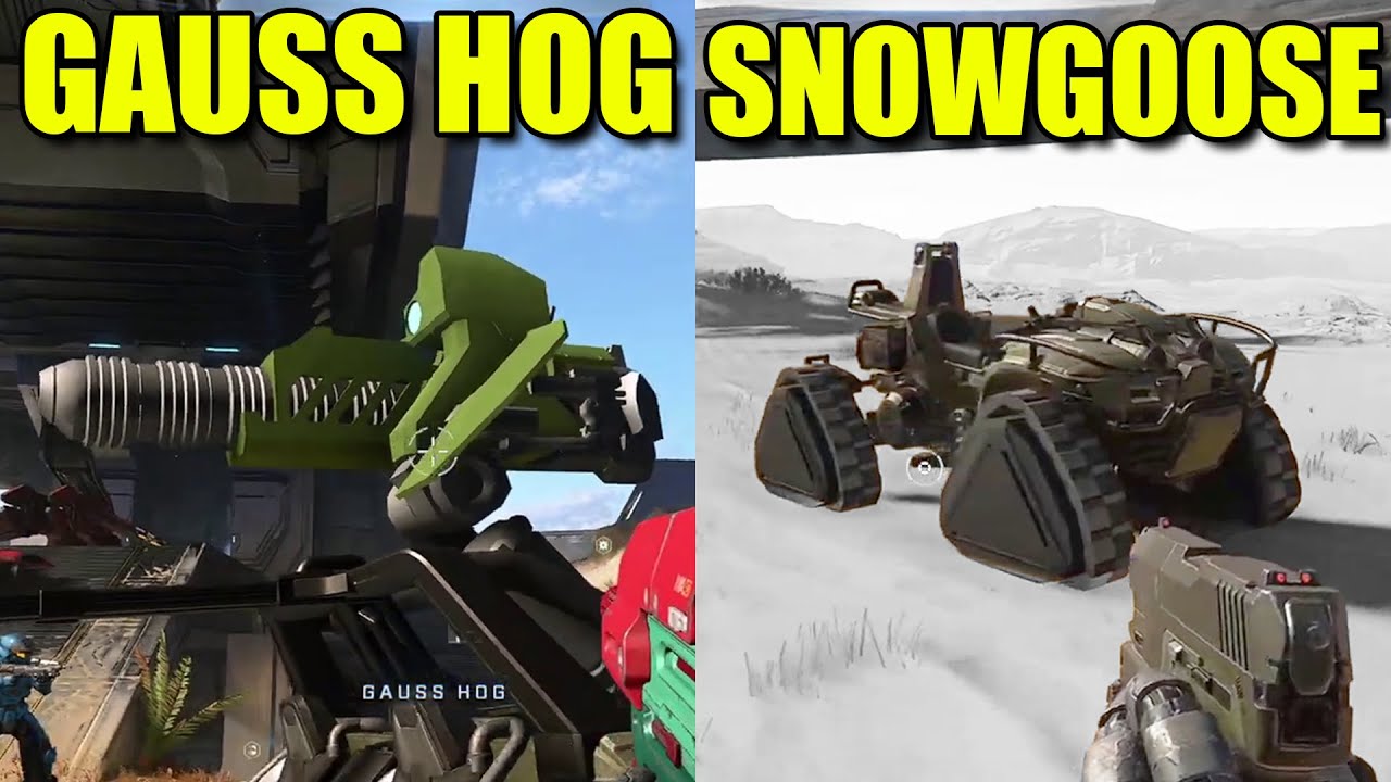 Halo Infinite Weapons And Vehicles That Didn't Make The Cut (Deleted Halo Infinite)