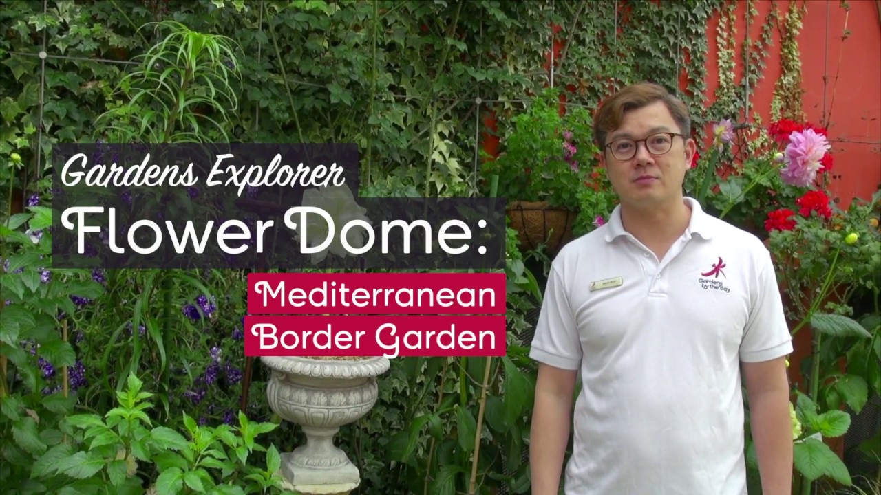 EP 07- Gardens Explorer: Flower Dome - Mediterranean Border Garden