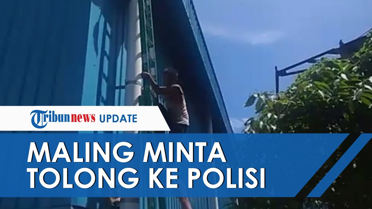 Aksi Kocak Maling di Padang Terjebak di Atap Tak Bisa Turun, Minta Tolong Polisi Ambilkan Tangga