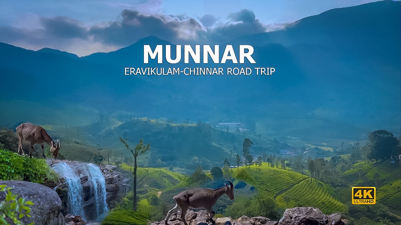 வனவிலங்குகள் பாக்கனுமா இந்த Route-ல போங்க| Eravikulam  national park | kerala tourist place | Munnar