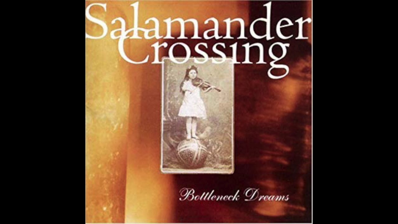 River and the Rain by Salamander Crossing