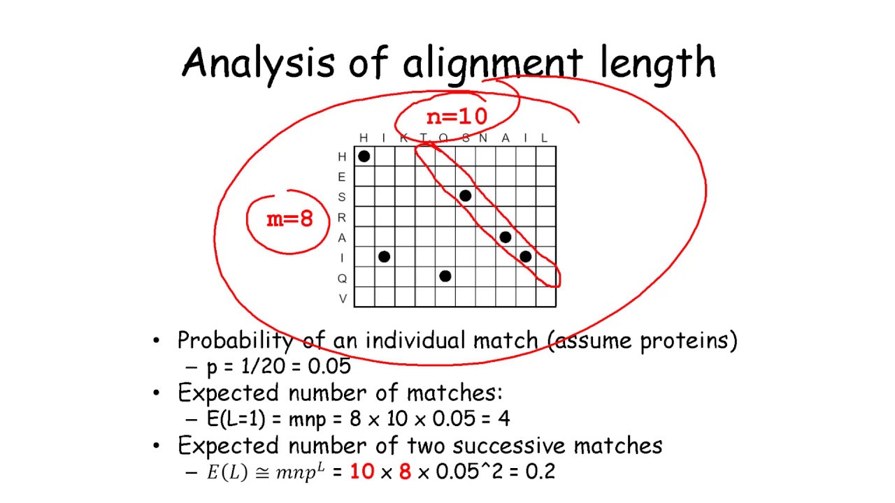 Sequence Local Alignment and Homology Search Statistics