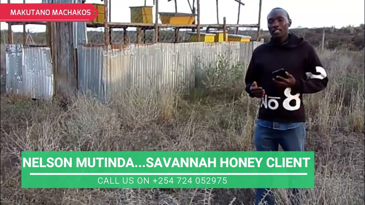 From Beginner to Pro Beekeeper // The Savannah Honey Success Story