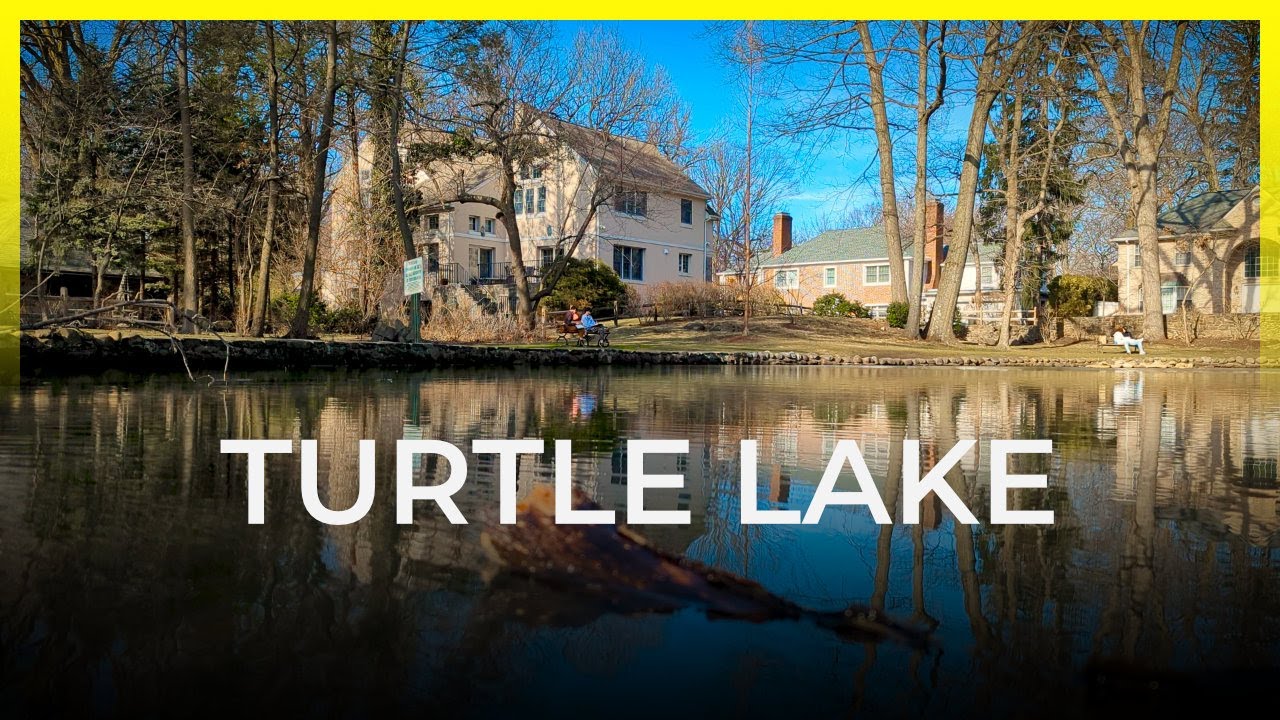 [4k] Relaxing video with a view of the lake.