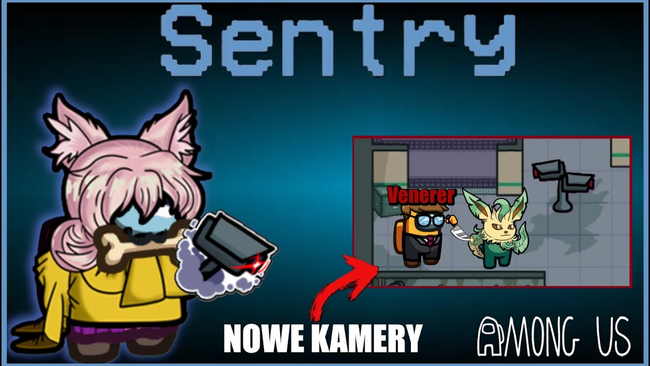 STAWIAM NOWE KAMERY JAKO 