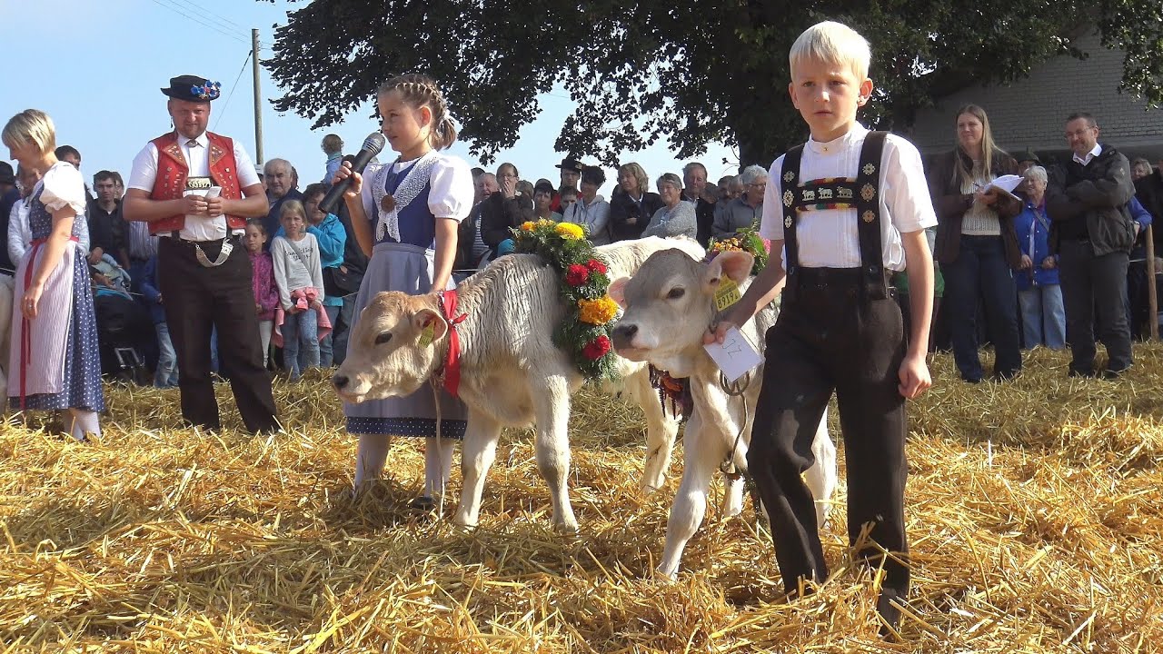 Viehschau Schwellbrunn 2016  Teil 2