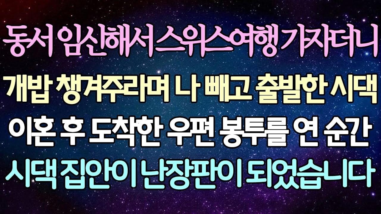 (반전 사연) 동서 임신해서 스위스여행 가자더니 개밥 챙겨주라며 나 빼고 출발한 시댁 이혼 후 도착한 우편 봉투를 연 순간 시댁 집안이 난장판이 되었습니다 사이다사연라디오드라마