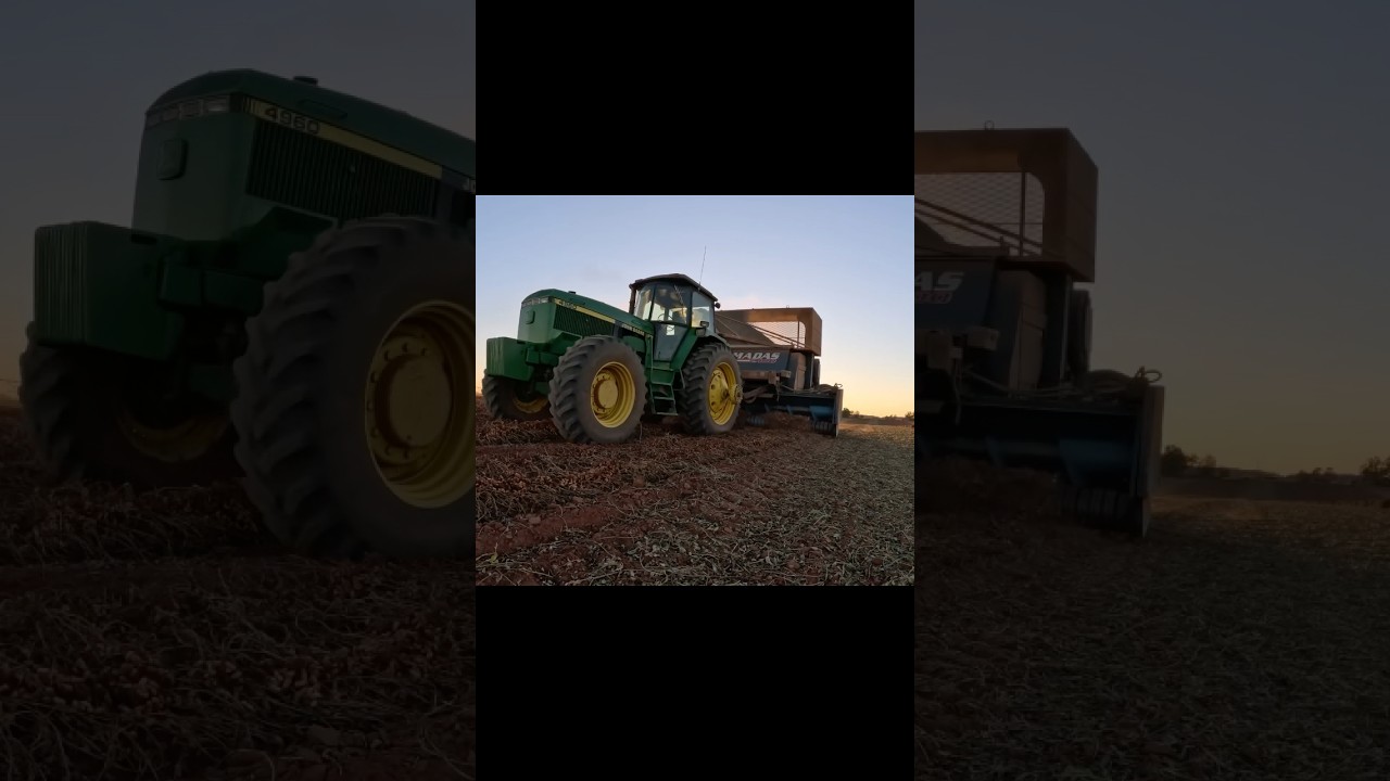 Peanut Harvest