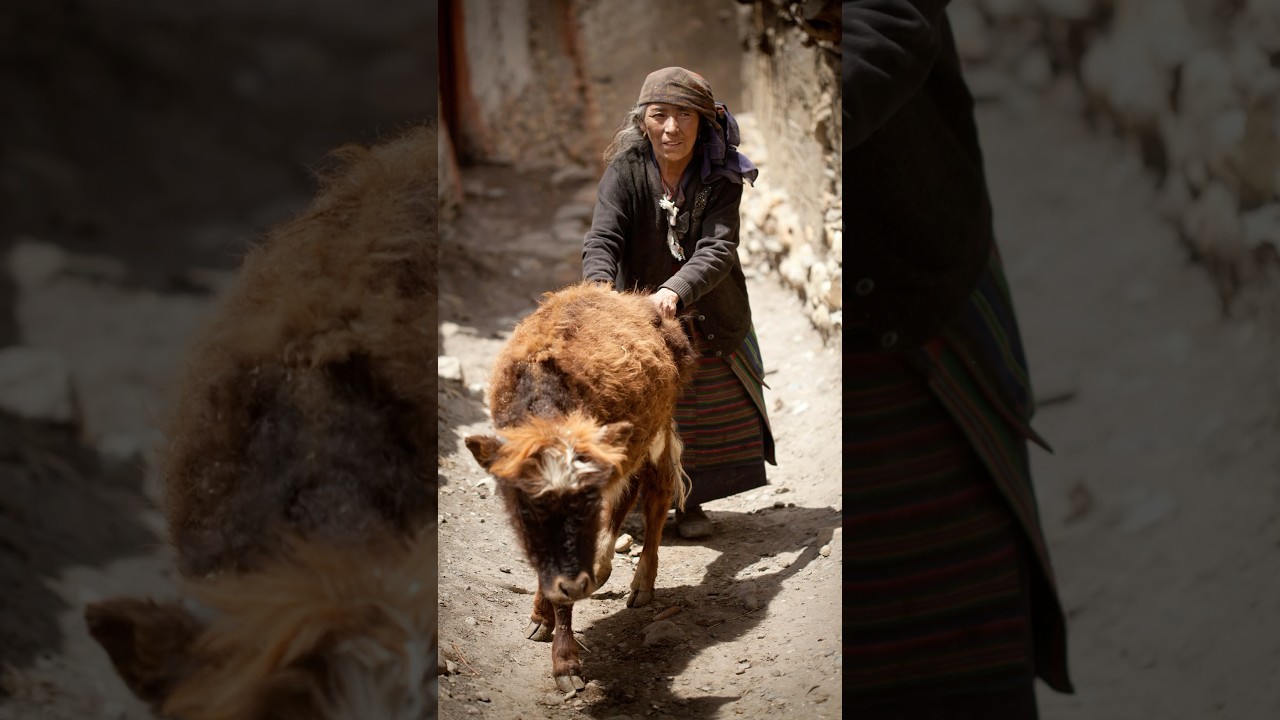 A photographer&rsquo;s journey through Nepal in 55sec.#Nepal #WorldInFocus #Photography #travelphotography