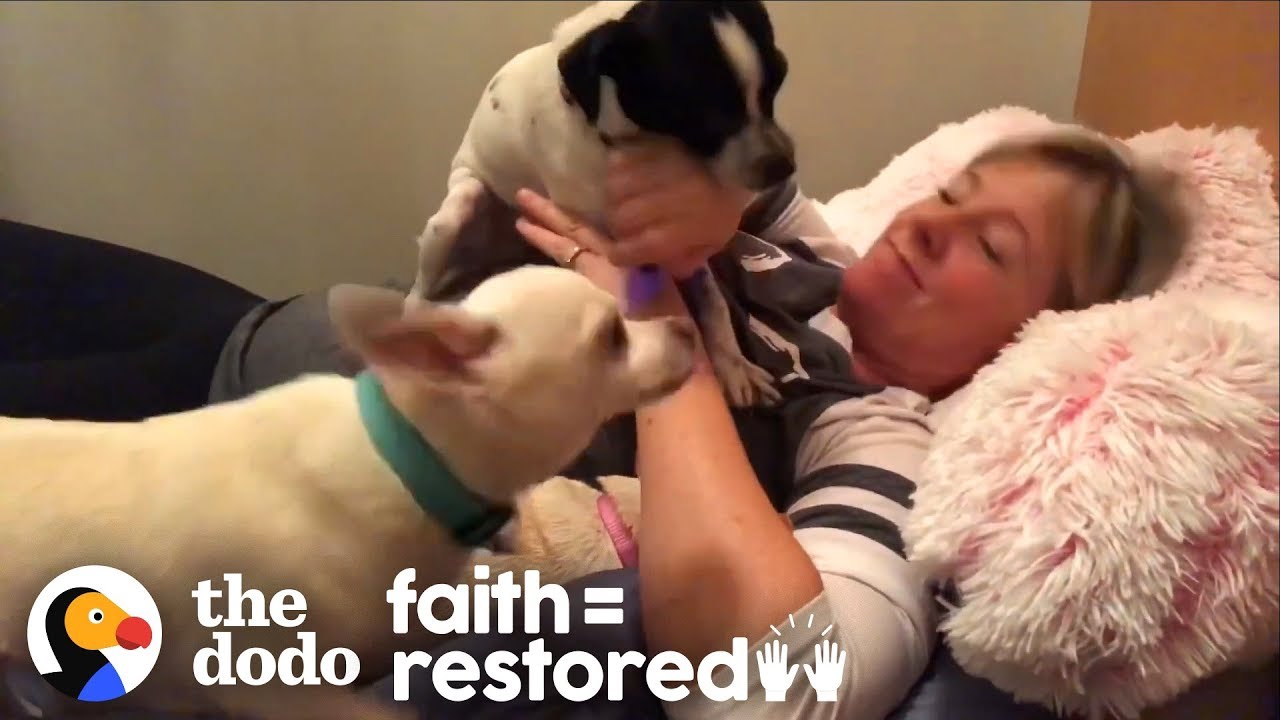 Woman Has Slumber Parties In Animal Shelter To Get Pets Adopted | The Dodo Faith = Restored