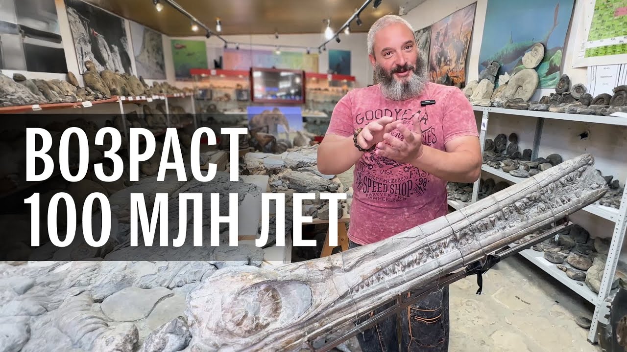 Экскурсия по палеонтологическому музею. Михаил Вишневский