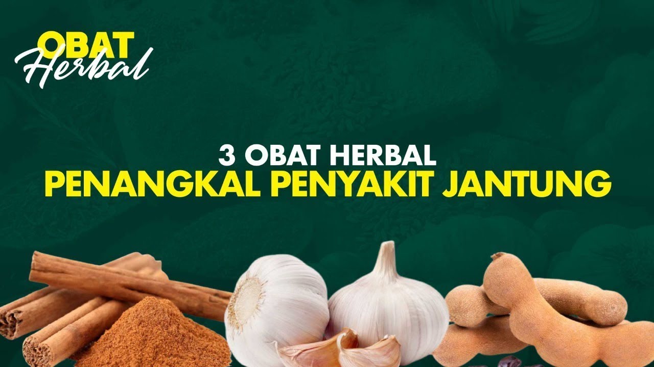 SEBELUM TERLAMBAT! 3 Obat Herbal Paling Ampuh Cegah Penyakit Jantung  | Obat Herbal