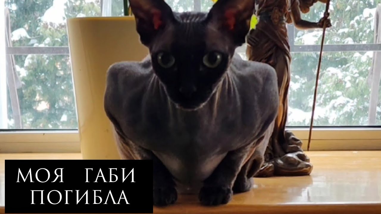 Факт жизни...
