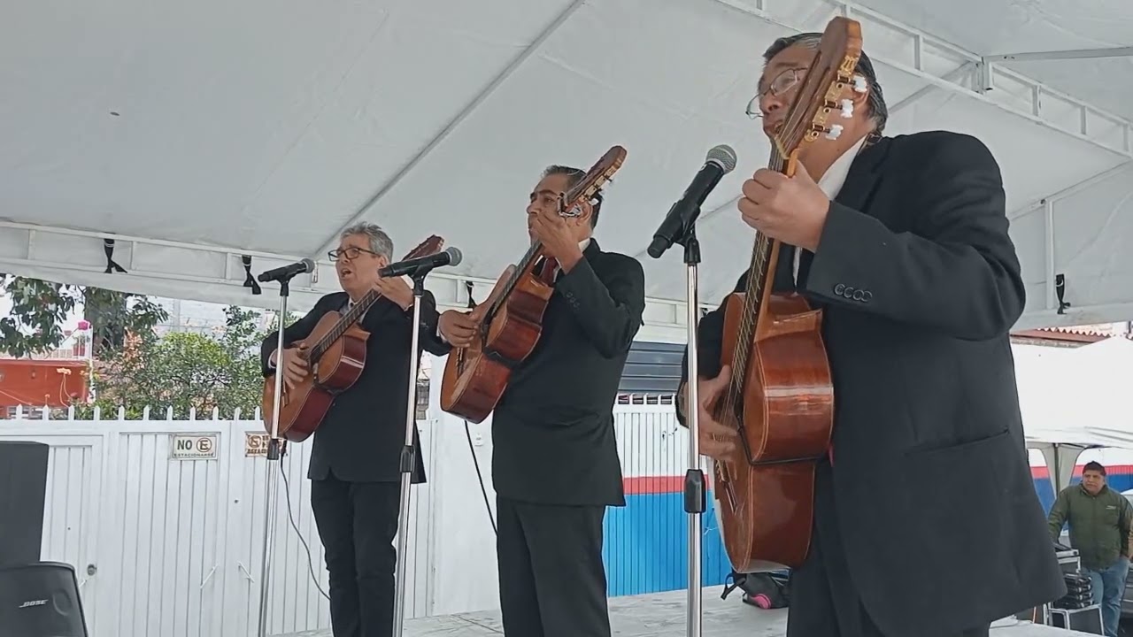 Hermoso cariño - Rondalla Ilusión Bohemia Querétaro