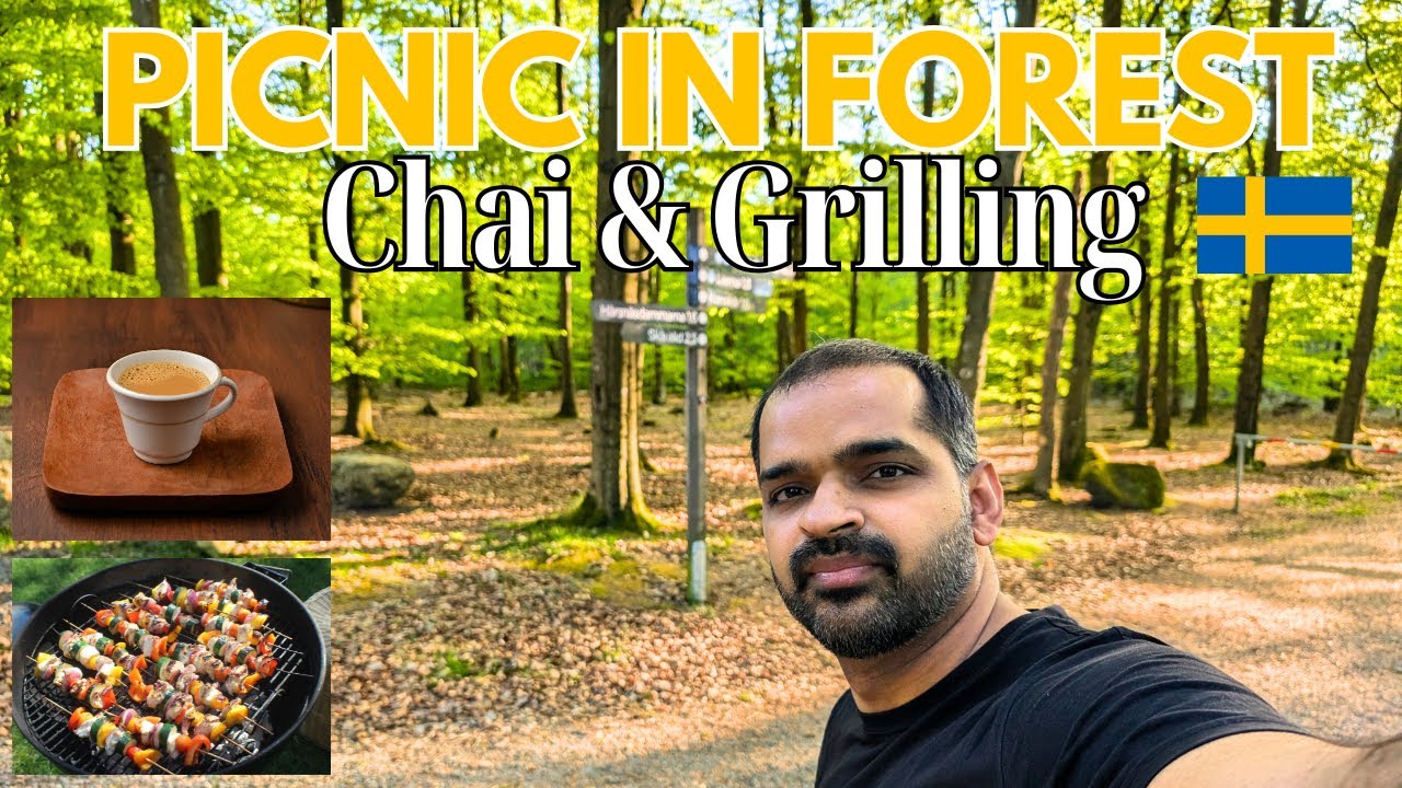 Picnic in Swedish National Park | Chai & BBQ with friends in Sweden