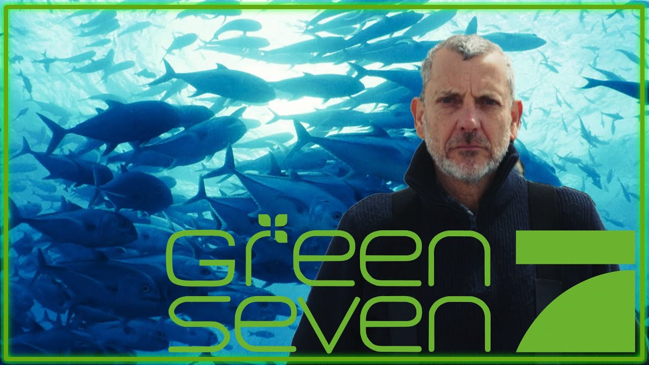 Er revolutioniert den Schiffsverkehr zum Schutz der Meere 🐟 | Green Seven Report