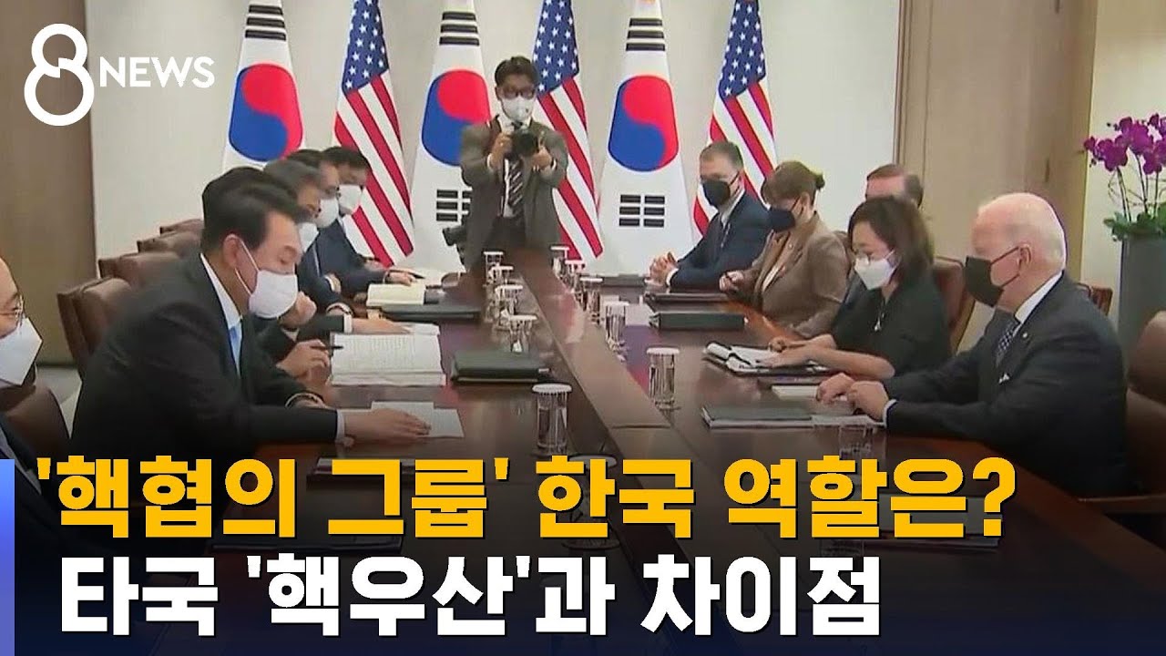 핵협의 그룹서 한국 역할은?&hellip;타국 '핵우산'과 차이점 / SBS 8뉴스
