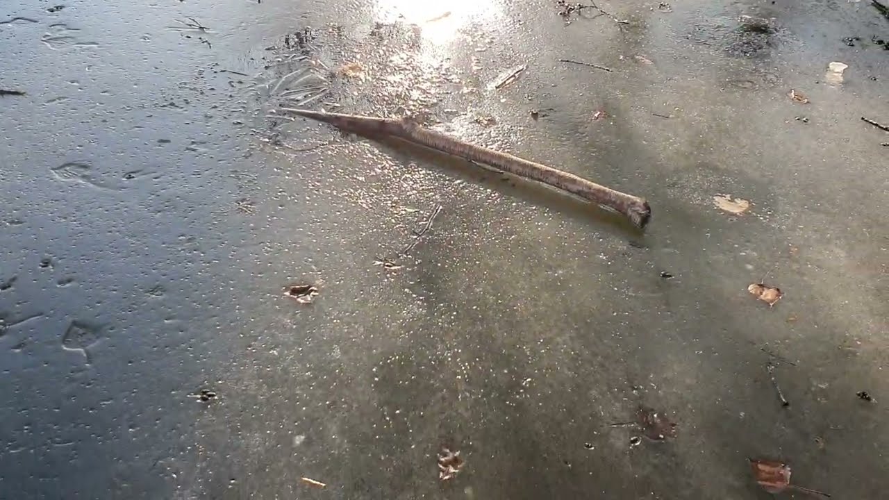 Eis