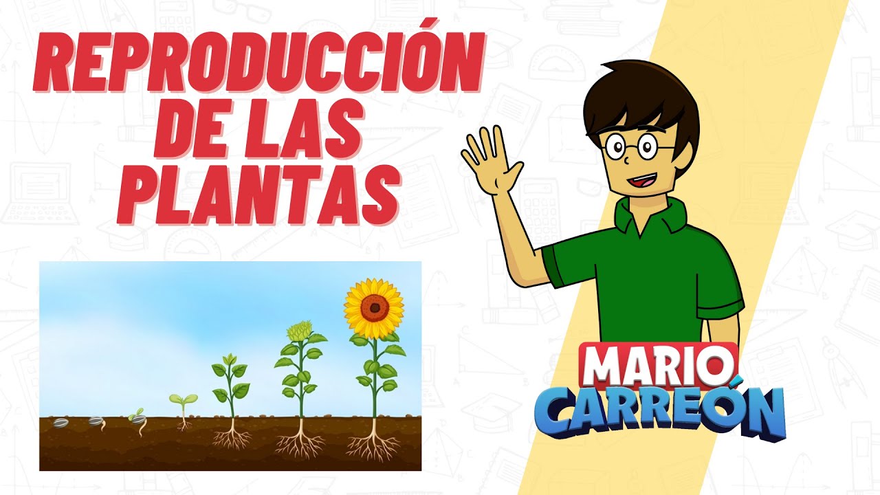Reproducci&oacute;n de las Plantas