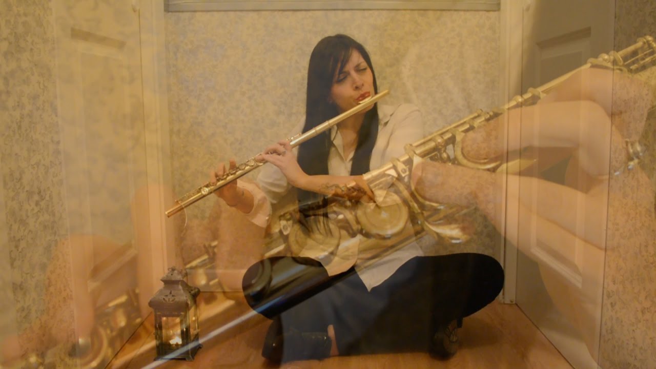Ed Sheeran - Photograph - OFFICIAL COVER - (Aida Escudero Flute Cover)
