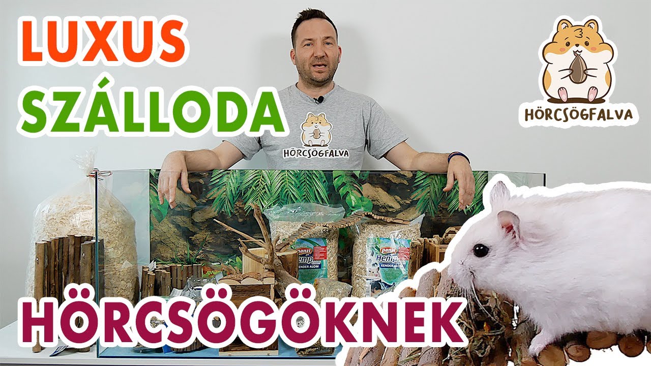 🐹Mi az az elengedhetetlen kellék, ami egy Luxus hörcsög lakosztályba mindenképp szükséges??? 🐹