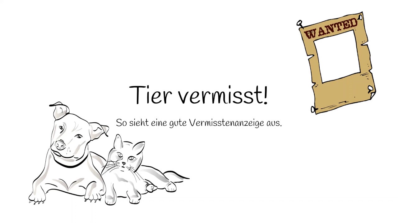 Ausschnitt: Tierbeschreibung in einer Vermisstenanzeige (Tutorial)