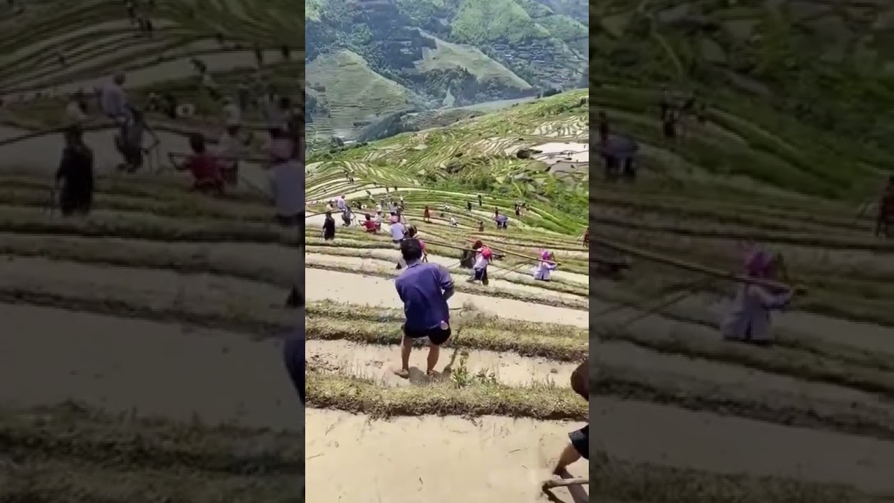 Contour farming