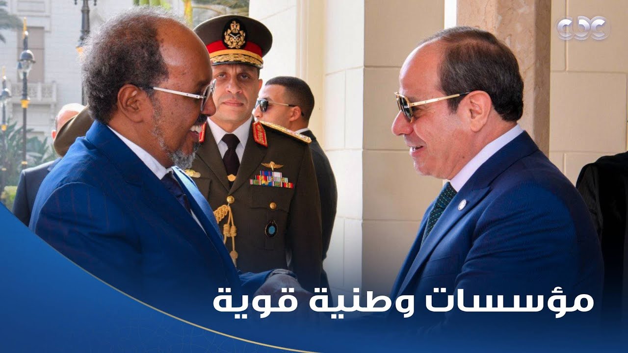 الرئيس السيسي: مصر تؤكد استعدادها لمشاركة خبراتها في مكافحة الإرهاب مع الصومال