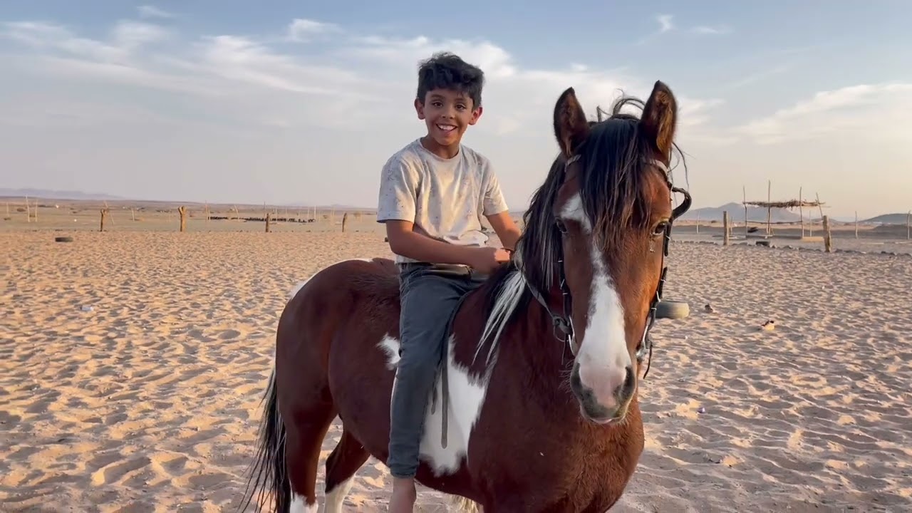 سعد والبوني ترامب حفــله🤣🤣🐎