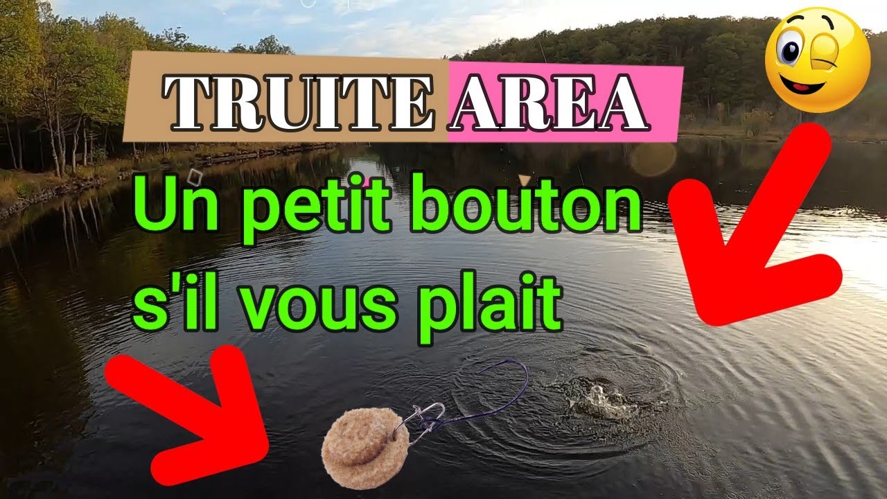 un petit bouton s'il vous plait