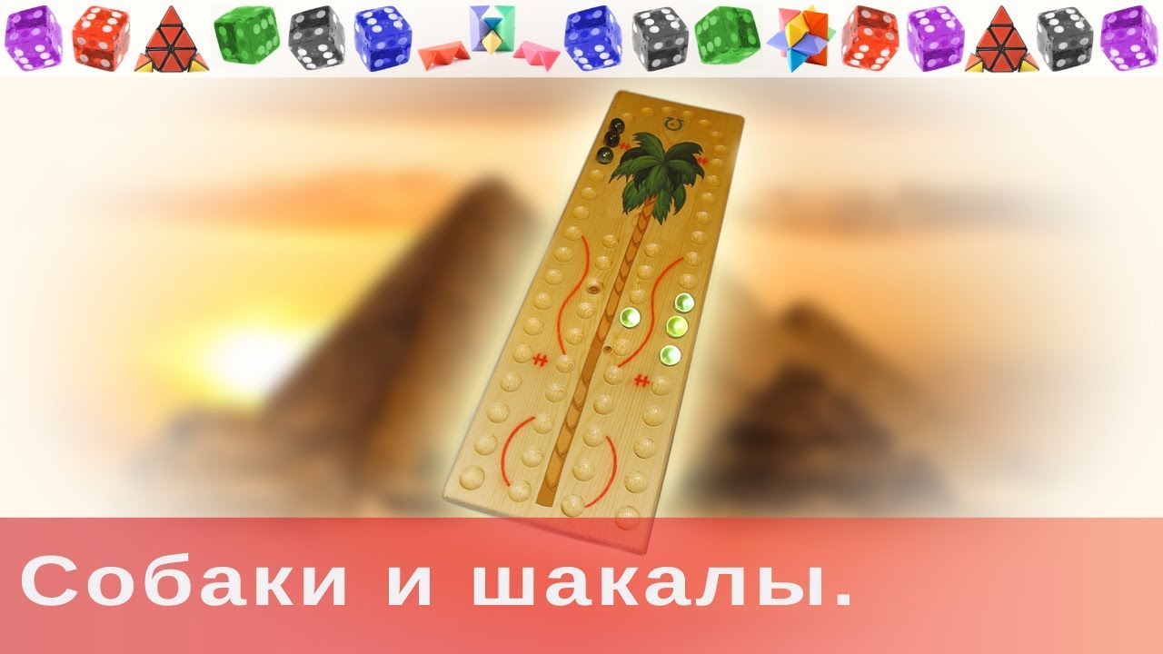 Собаки и шакалы.