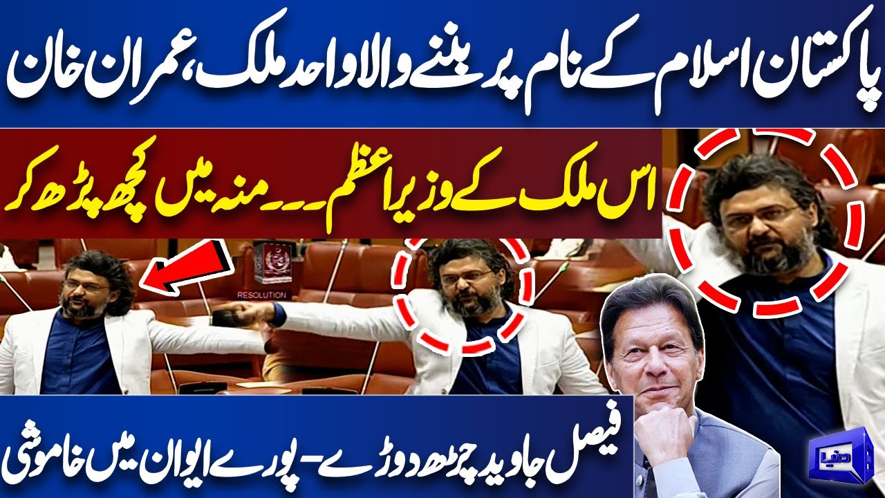 Explosive Speech! 'Imran Khan PM' Senator Faisal Javed Blasting Speech in Senate Session! Dunya News
