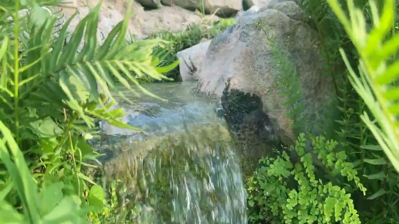 oman (ഒമാൻ കാഴ്ചകൾ )