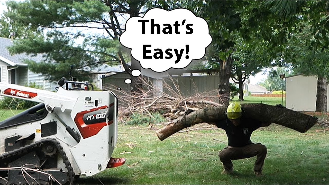 Bobcat MT100 Mini Skidsteer Tree Service Tutorial: Tricks and Methods