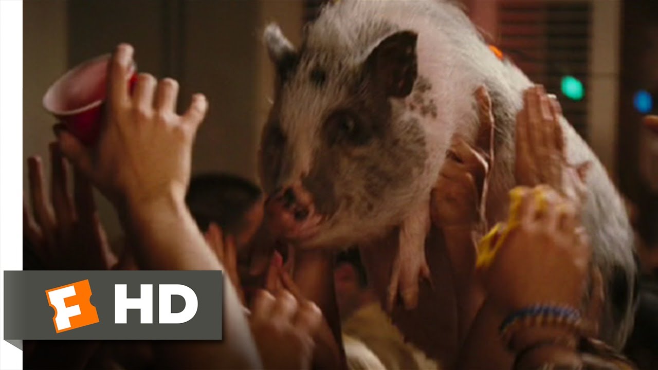 Yours, Mine and Ours (8/9) Movie CLIP - Party at the Lighthouse (2005) HD