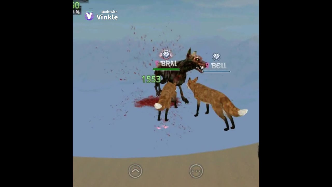 Wild Animals Online Vinkle Video
