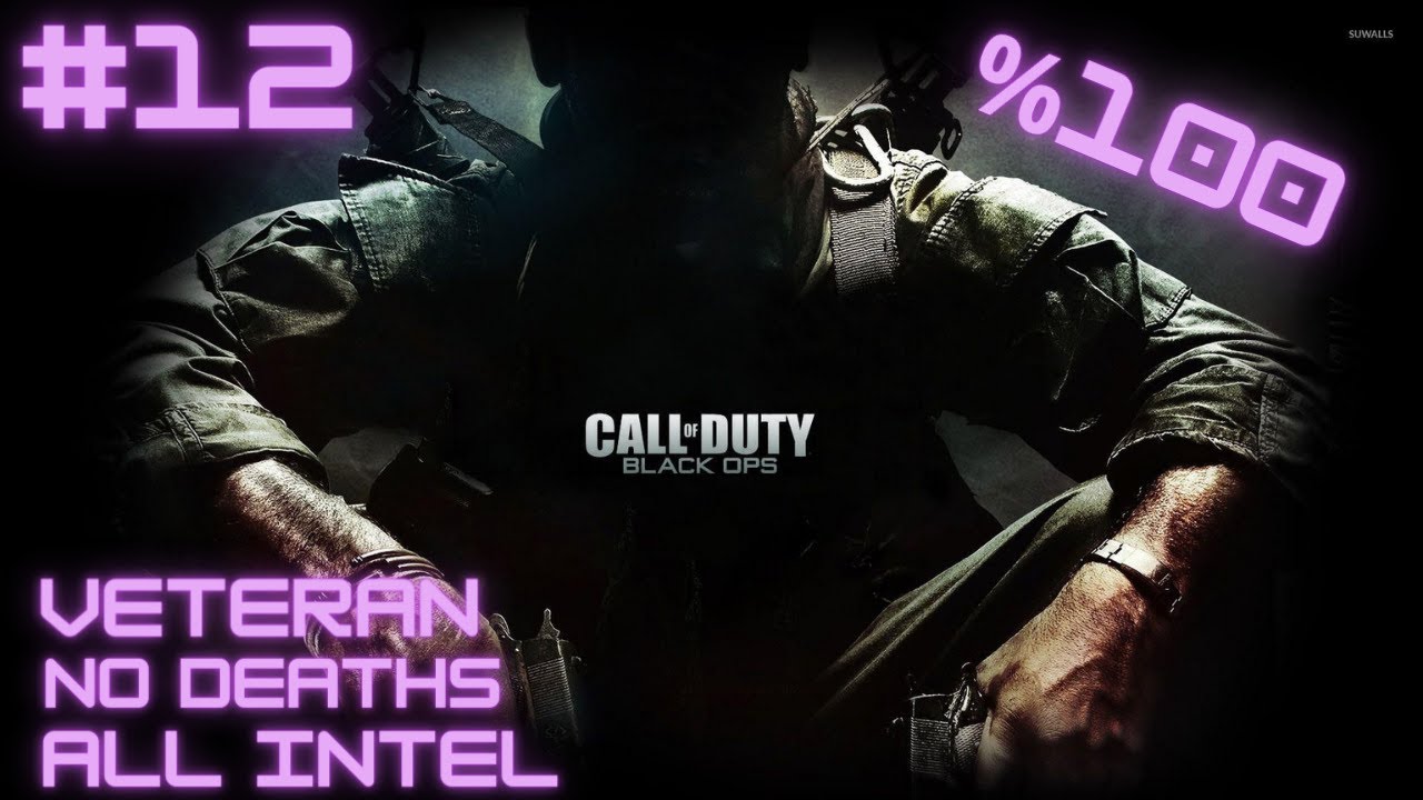 Call of Duty Black Ops Veteran Difficulty No Deaths ''Rebirth'' [PC 1080p60]
