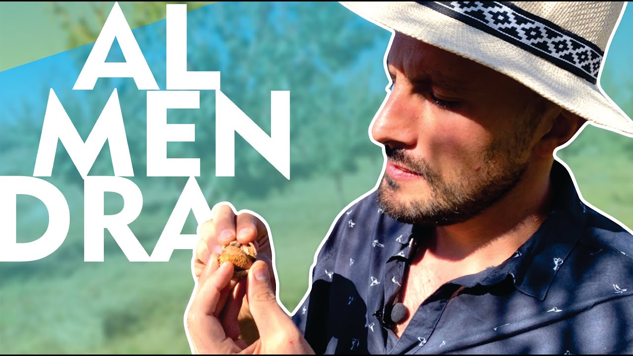 solo ALMENDRAS -aprendiendo de productores-