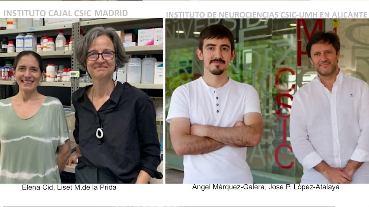 Descifrada las claves gen&oacute;micas de la atrofia del hipocampo y la muerte neuronal en la epilepsia