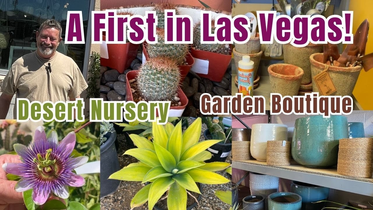 Mojave Bloom Las Vegas, Desert Nursery and Boutique Garden Shop #cactus #desertplants