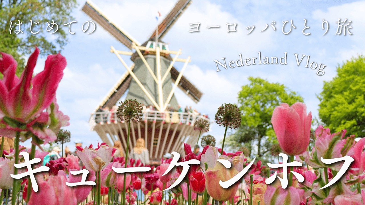 はじめてのヨーロッパひとり旅＃５　【キューケンホフ公園】オランダ🇳🇱チューリップを楽しむ日🌷鳥のさえずりが心地良かった。