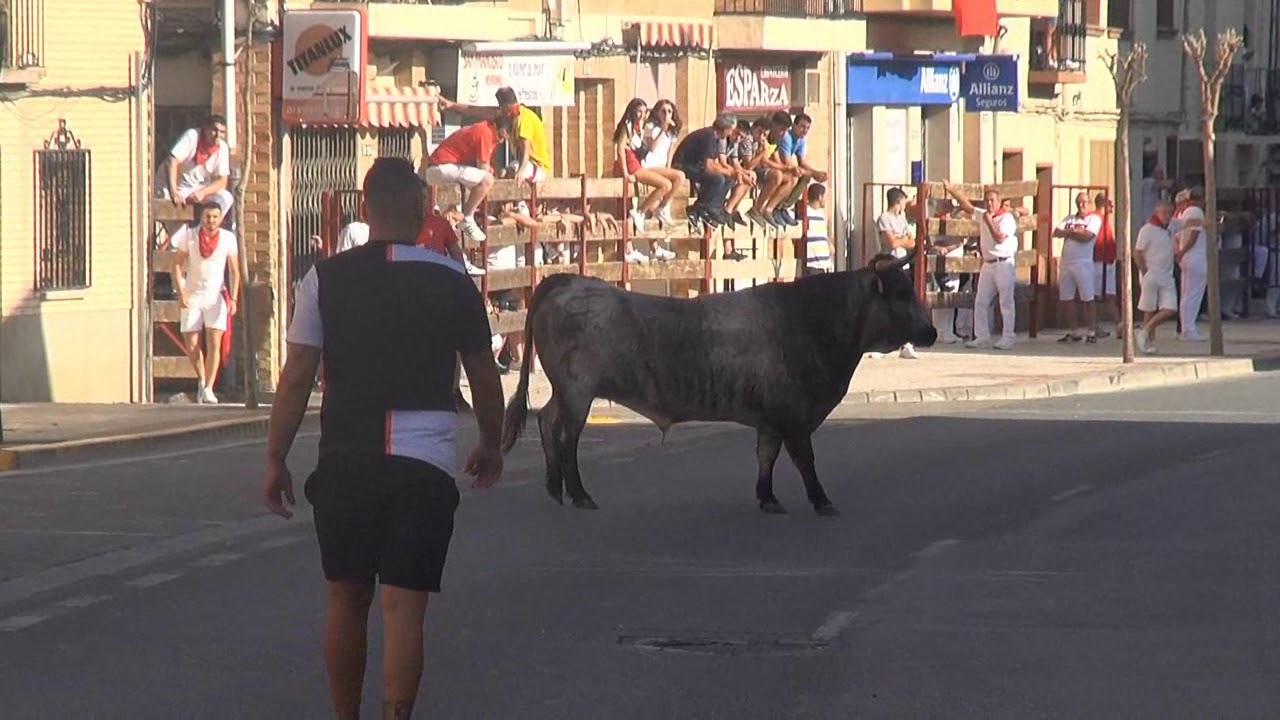 VACAS Y CAPONES CALLE VALTIERRA.BRETOS FERNANDEZ. 22- 08- 2019.