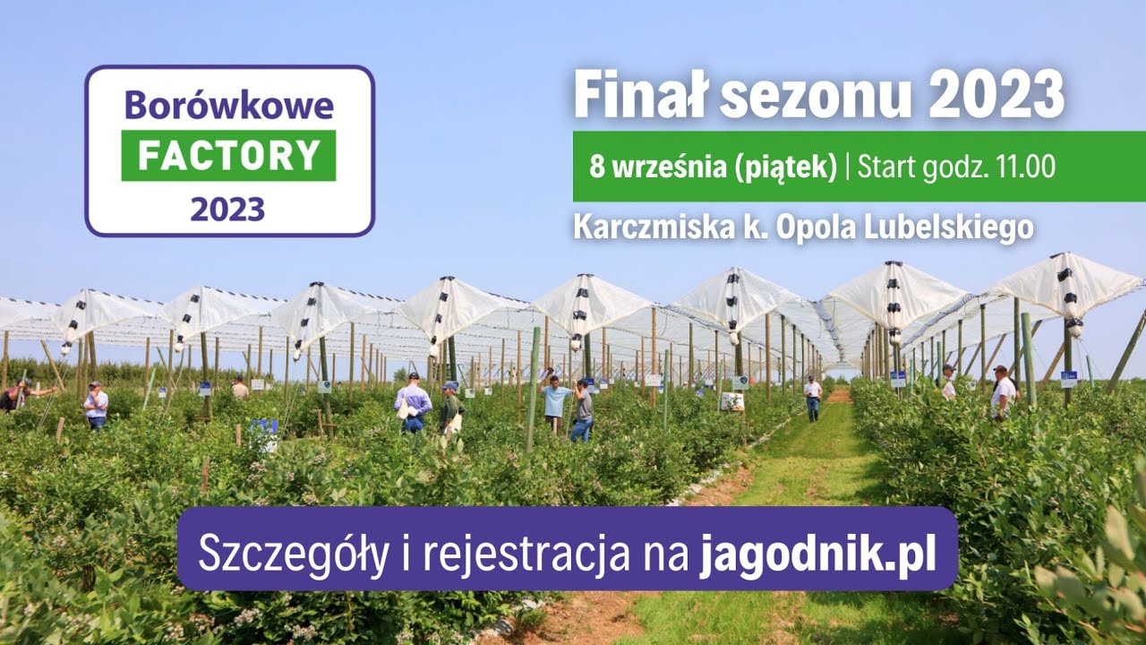 Borówkowe Factory 2023 - co w programie. Dlaczego warto przyjechać do Karczmisk.