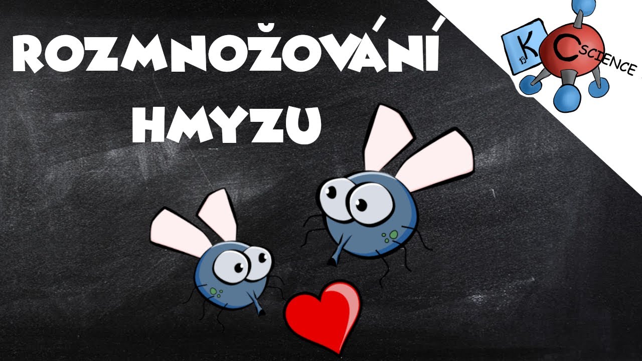 Hmyz - charakteristika a rozmnožování hmyzu - prezentace pro žáky ZŠ