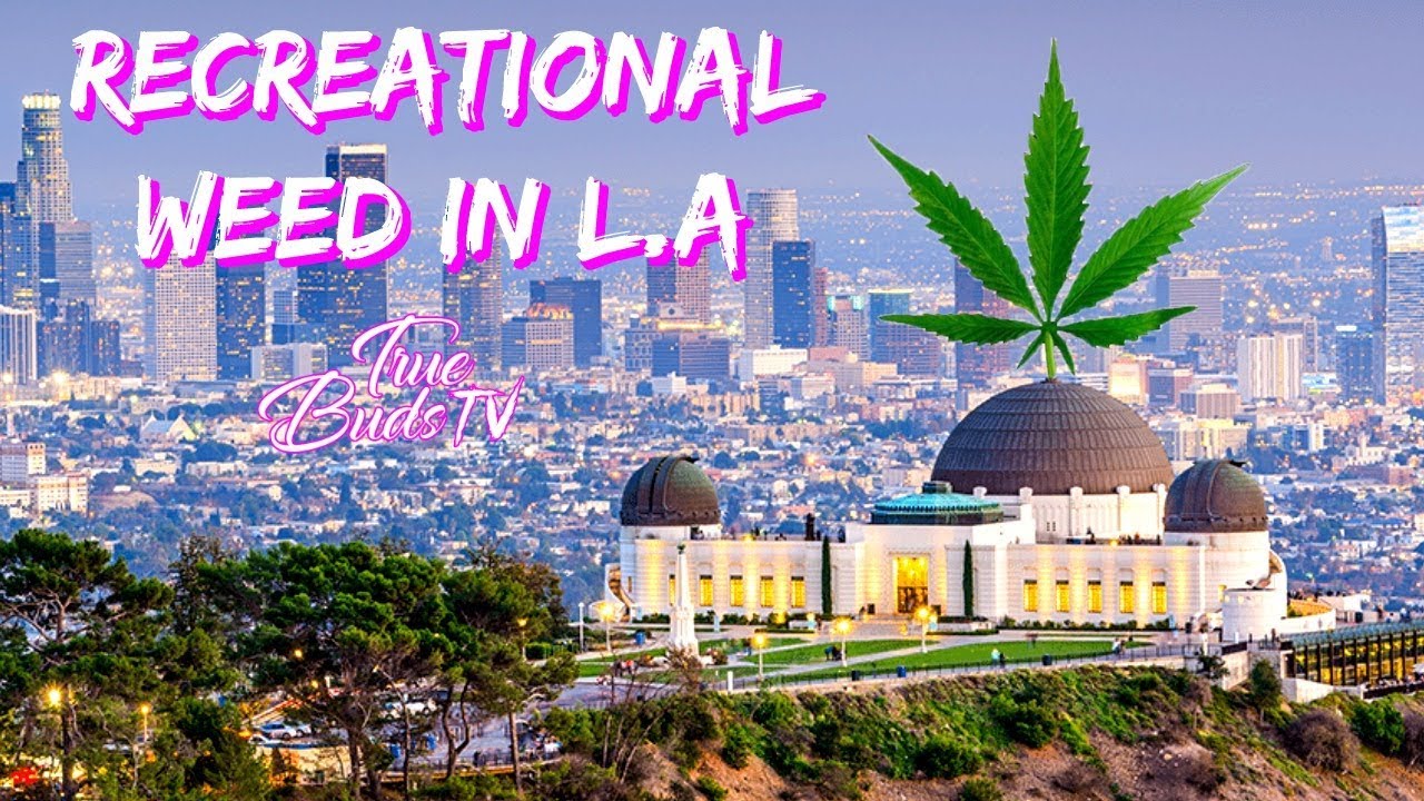 Recreational Weed In California Ep.1: True Buds TV
