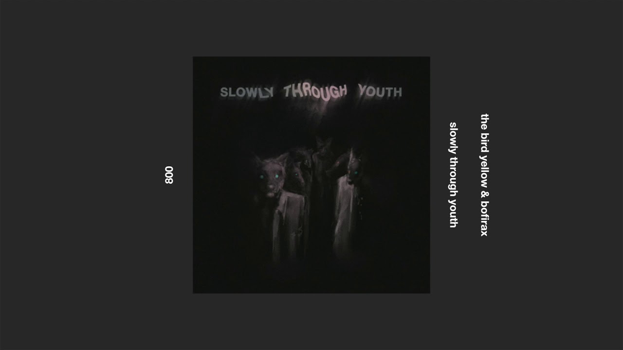 the bird yellow & bofirax _ slowly through youth
