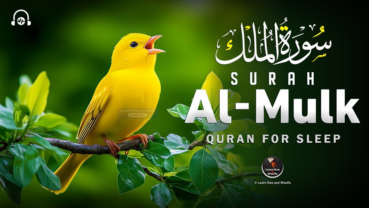Surah Al-Mulk سورة الملك | Heart Soothing Recitation for Nighttime Peace, Inner Stillness #surahmulk