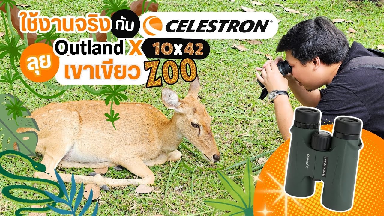 พก Celestron Outland X 10x42 เที่ยวสวนสัตว์เขาเขียว สนุกกว่าเดิม 300%
