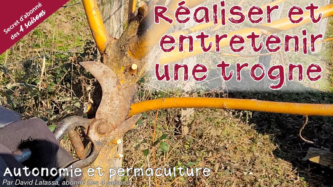 Comment faire et entretenir une trogne ? Autonomie et permaculture avec David